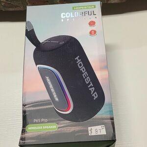 P65 Pro Black Wireless Speaker